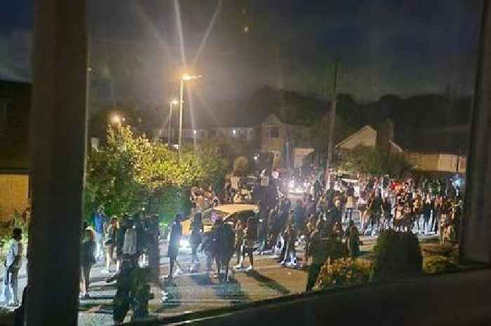 Holiday home horror as riot police called to 'gender reveal' party