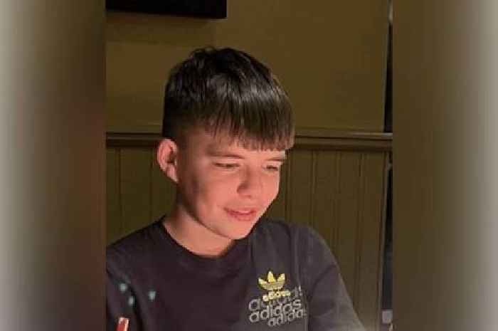 One of two boys found dead on railway line pictured
