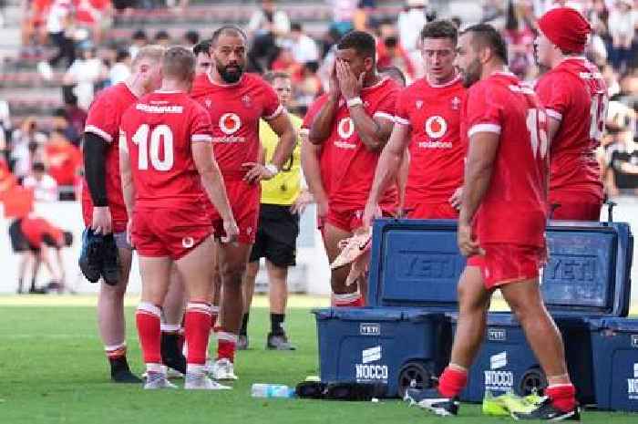 I saw Wales implode and hit rock bottom – this is how it all went so badly wrong