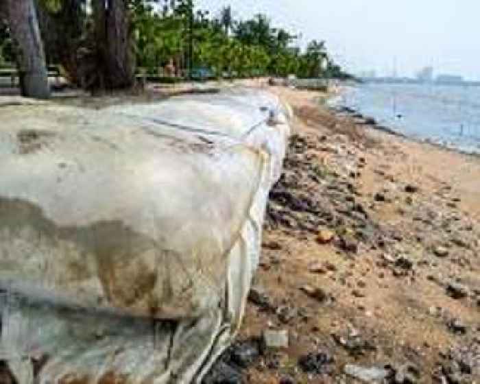 'Every day I see land disappear': Suriname's battle to keep sea at bay