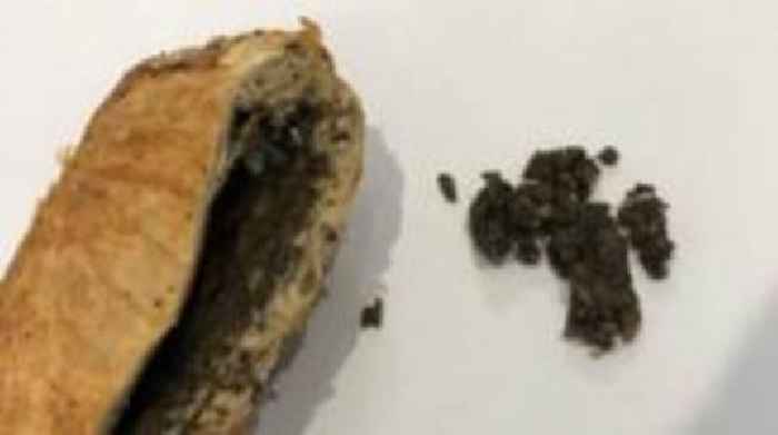 In pictures: The evidence in Erin Patterson's mushroom murder trial
