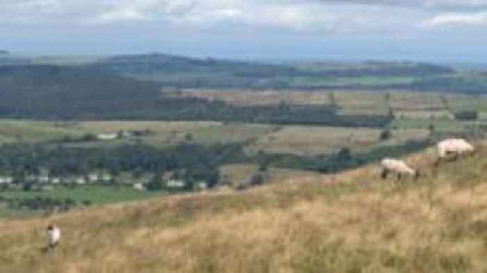 £65k farm project to plant hay meadows announced