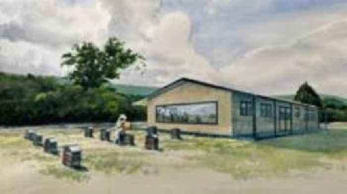 New 'bee paradise' planned to boost conservation