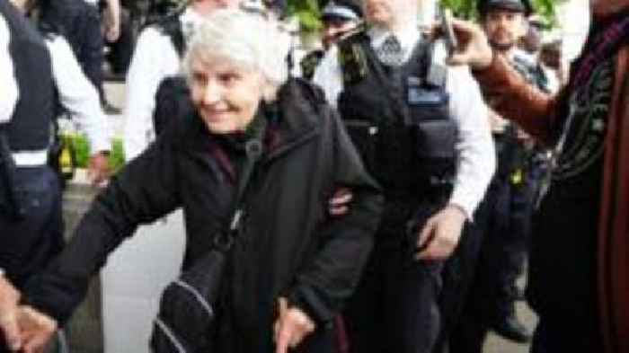 Priest, 83, arrested at Palestine Action protest