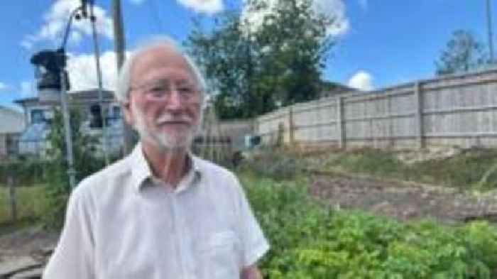Raucous peacock ravages town's veg patches