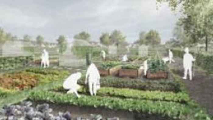 Charity plans 145-plot allotment area in Inverness