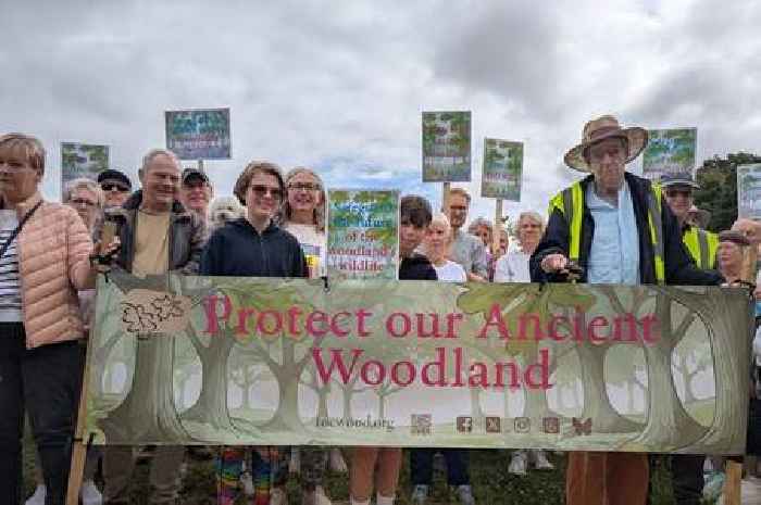 Dozens hold protest to save 'magical' ancient woodland in Derby