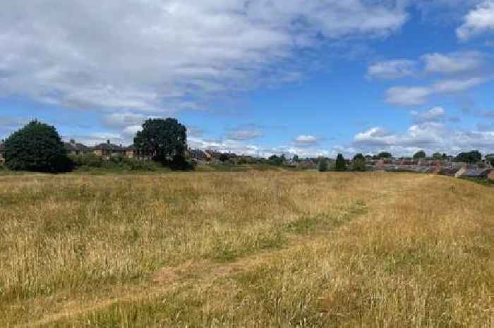 'We played football here as kids and our dogs love it - don't build homes'
