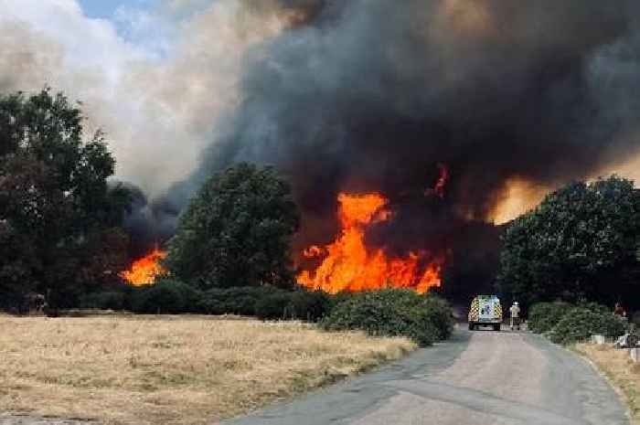 Fire in Sutton Park trapped visitors ‘putting lives at risk’ as brigade confirms cause