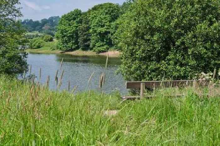 Severn Trent nine tips to save money after 'dramatic change' in weather sparks water concerns