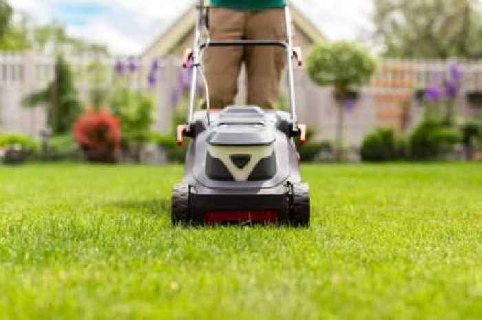 UK households warned not to mow grass for 11 days starting on Wednesday