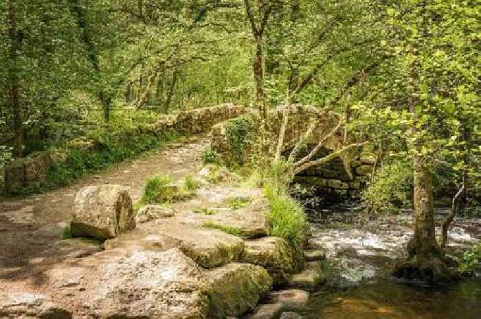 Exeter man jailed after his 'waste' business pollutes Devon river