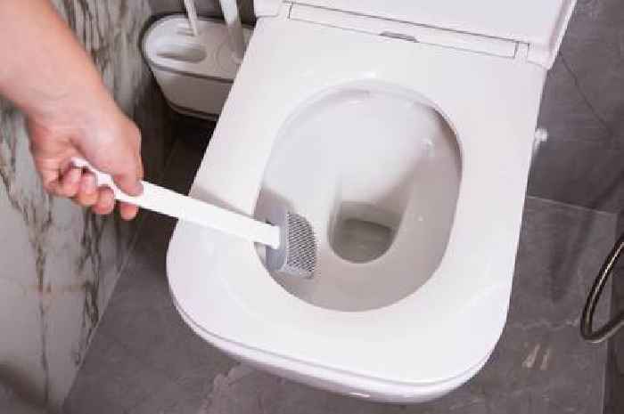 Toilet limescale will vanish by doing 'once a week' job — no scrubbing necessary