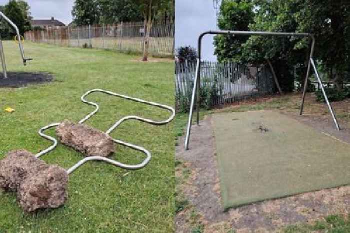 Councillor condemns 'mindless vandalism' in children’s park