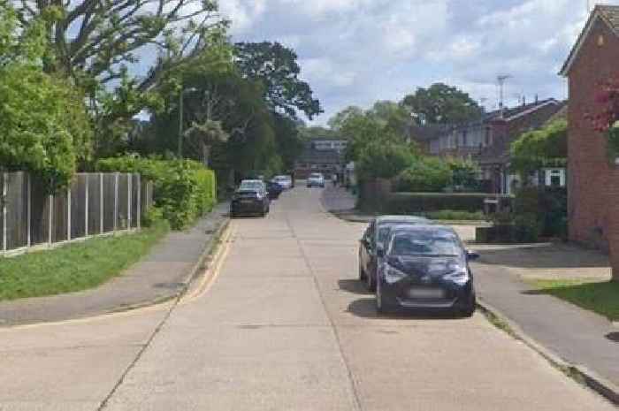 Essex bin man spotted 'peeing' on resident's driveway