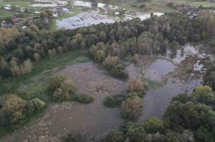 Guildford's newest nature reserve will have nearly a thousand meters of boardwalk as creation process continues