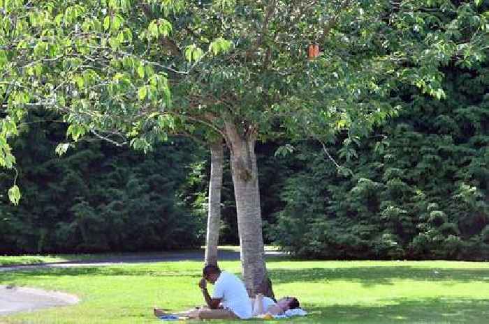 BBC weather presenter says heatwave 'on the way' for Wales and there are three days that look absolutely scorching