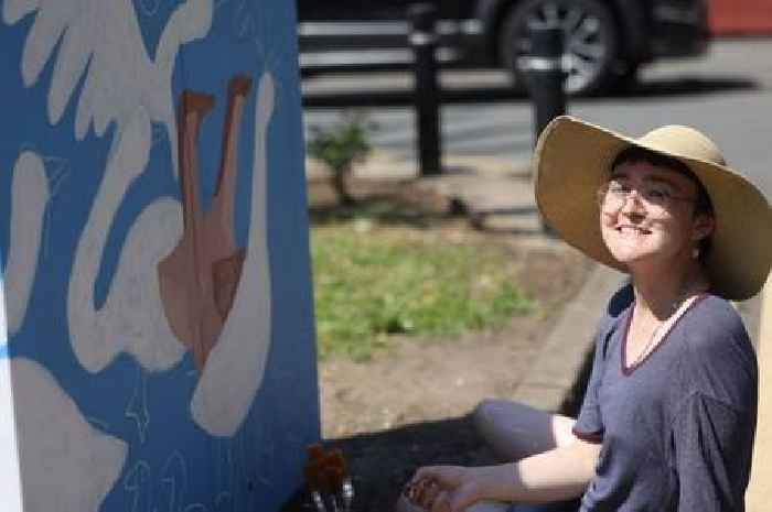 People are turning city's ugly street boxes into something completely different