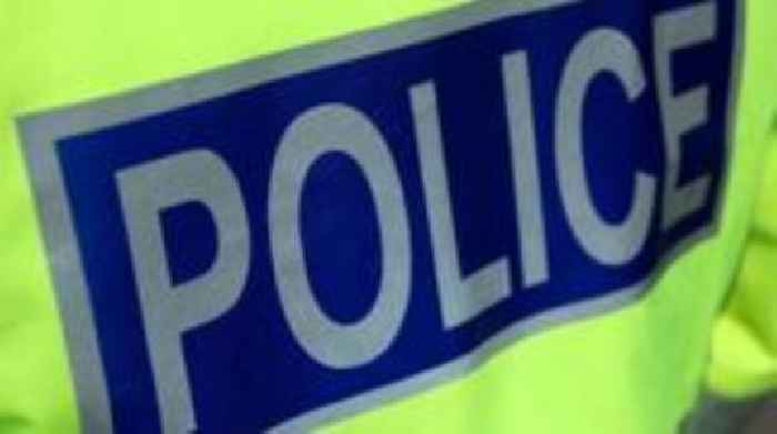 Woman seriously injured after attack by three dogs