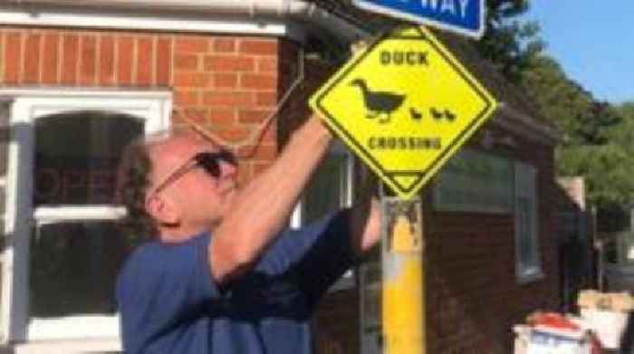 Villagers install signs to protect family of ducks