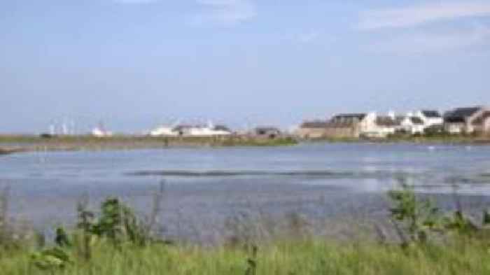 Orkney bonfire event cancelled over wildlife concerns