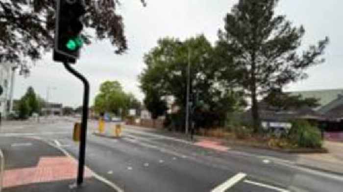 Town gets new puffin crossing