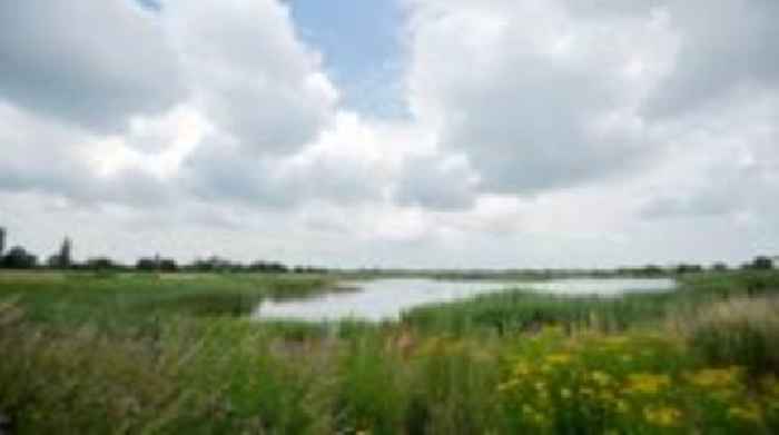 Project to turn quarry into wetlands is delayed