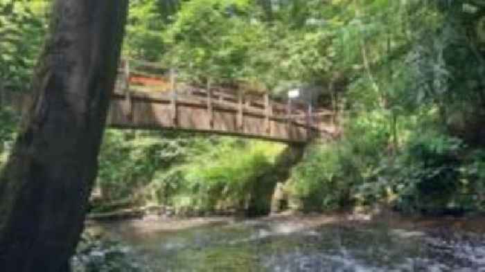 Calls for National Trust to replace wooden bridge