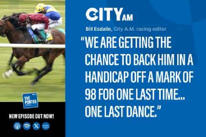 The Punter Podcast Episode 38: Bunbury Cup horse with a stone in hand