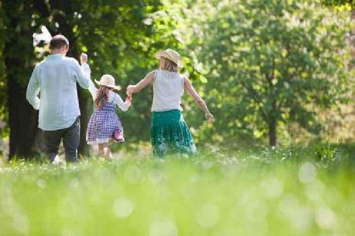 Anyone going for a walk this summer warned they're at risk of disease