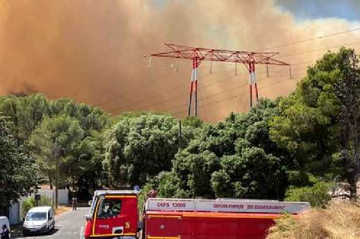 Flights stopped as wildfires take hold in France
