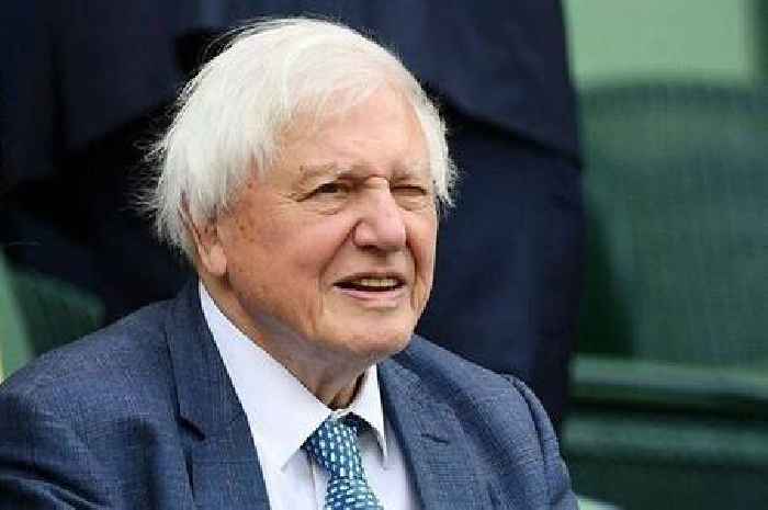 How Sir David Attenborough influenced Wimbledon to change colour of tennis balls