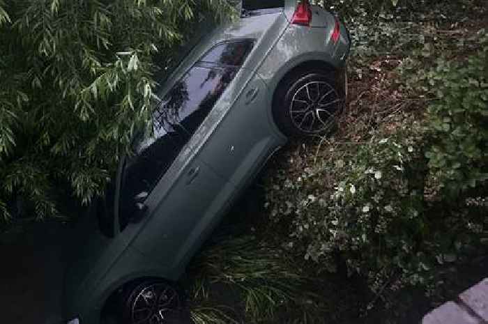 'Drink-driver' arrest after miraculous escape from car plunge crash