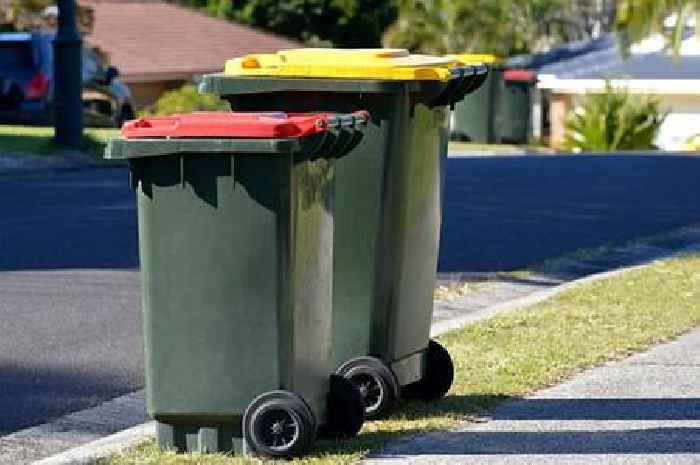 17 food items can be put in bins under new rules with UK households given four containers
