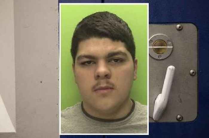 Baby-faced thug stabbed dad in the stomach as children watched horror attack