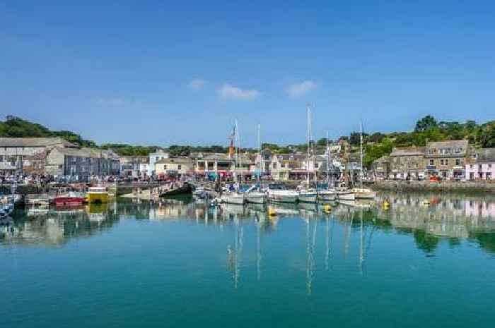 Cornish seaside town tourist hotspot branded 'cult for brainless sheep'