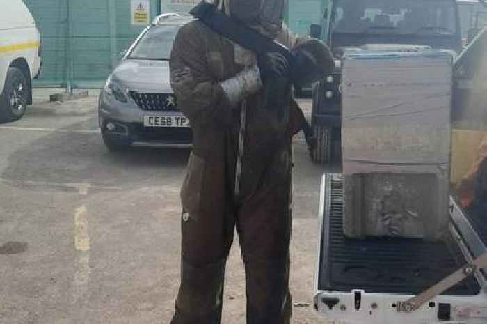 Yeovil shopping centre demolition held up by 70,000 bees