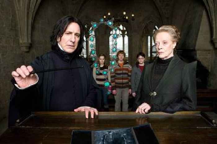 Harry Potter legend defends Paapa Essiedu against 'racist' fan abuse