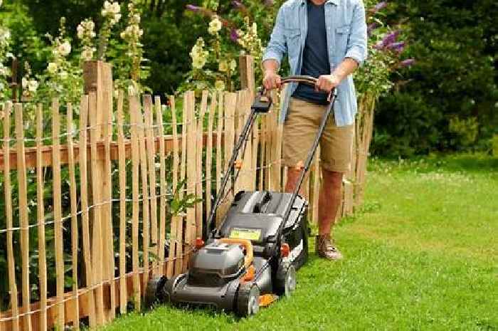 Gardeners race to buy Amazon Prime Day cordless lawn mower and strimmer bundle
