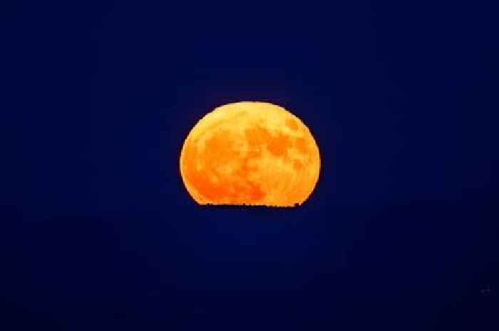 Glorious Buck Moon will light up night sky this week - when and how to see it