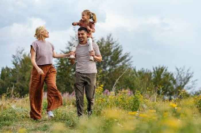 Avoid summer disease by wearing two clothing items UKHSA recommends