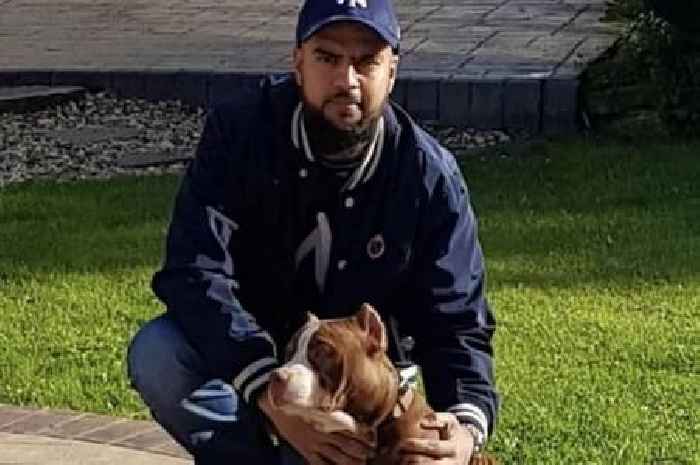 Breeder arranged for dogs' ears to be cropped in 'barbaric act of cruelty'