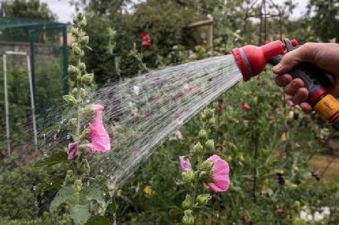 First UK hosepipe ban of 2025 will come into force this weekend