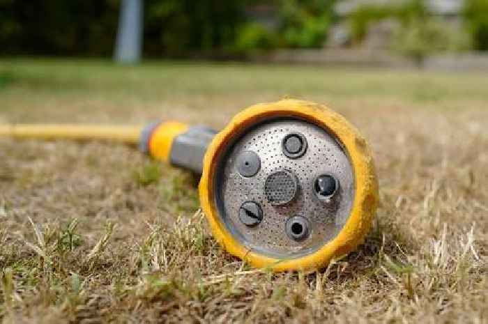 UK's first hosepipe ban of summer coming into force on Friday