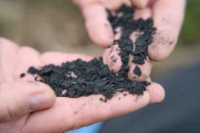 News24 | Biochar boom? South Africa bets on super charcoal for green jobs