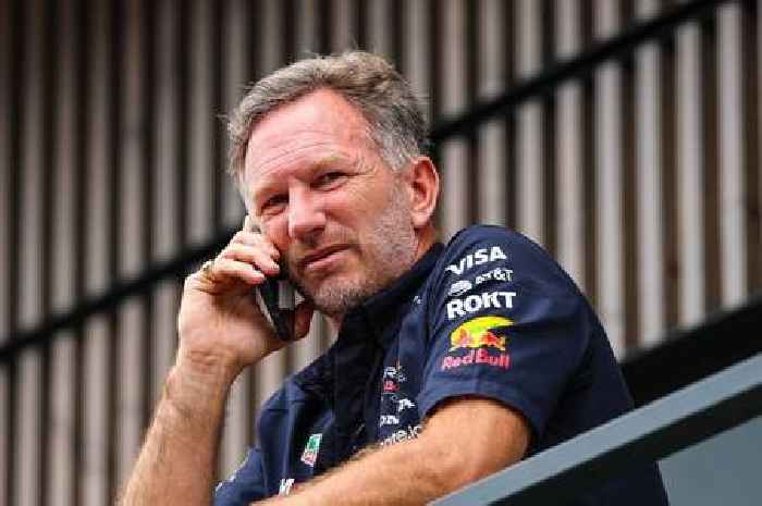 Christian Horner's Red Bull replacement makes feelings clear after sacking