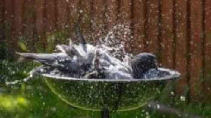 Your pictures of Scotland: 27 June - 4 July