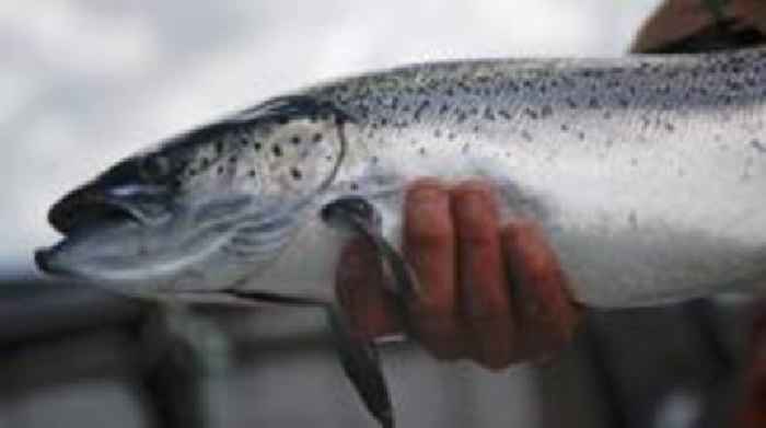Salmon firm to provide housing due to lack of homes