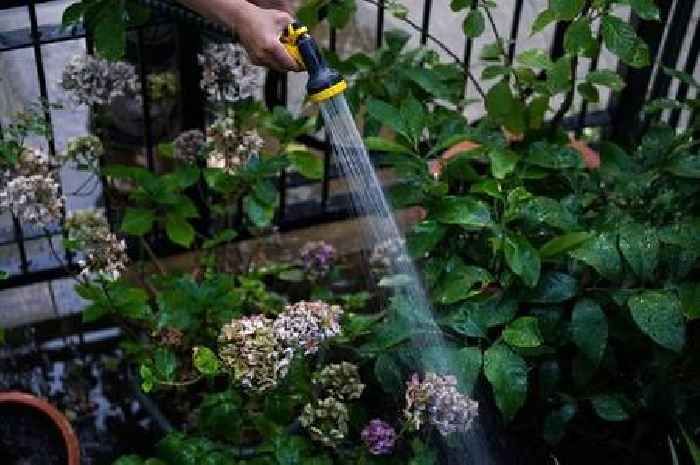 Hosepipe ban declared in area from Friday ahead of heatwave