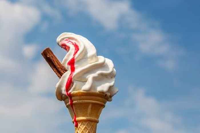Ice cream man explains 'real' reason a 99 will always cost more than 99p
